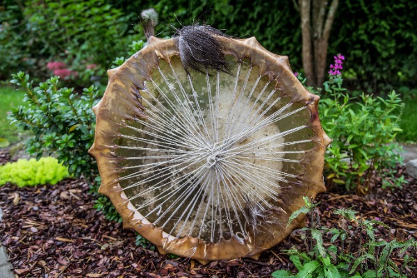 Aļņa ādas bunga ar rezonatoriem