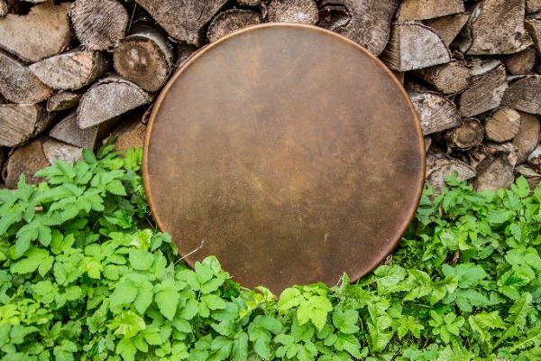 Brūnas krāsas buļļa ādas bunga