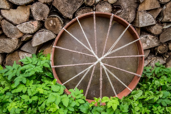 Brūnas krāsas buļļa ādas bunga