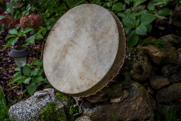 Bifeļa ādas bunga ar tumšāku rakstu