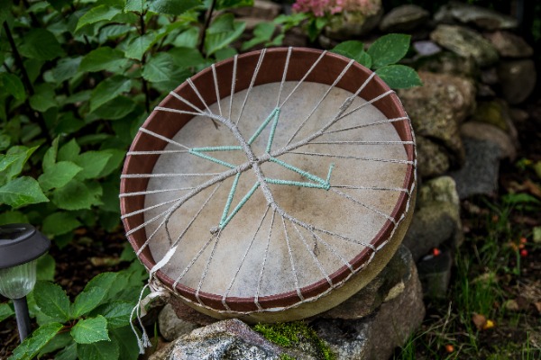 Bifeļa ādas bunga ar tumšāku rakstu