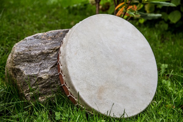 Gaiša bifeļa ādas bunga